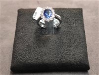 Anello Crivelli Donna Classic in Oro bianco Tanzanite 731673C